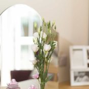Angela Grace Northampton Care home 22